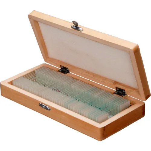 AmScope PS50A 50 pc. Biology Pathology Prepared Microscope Slides