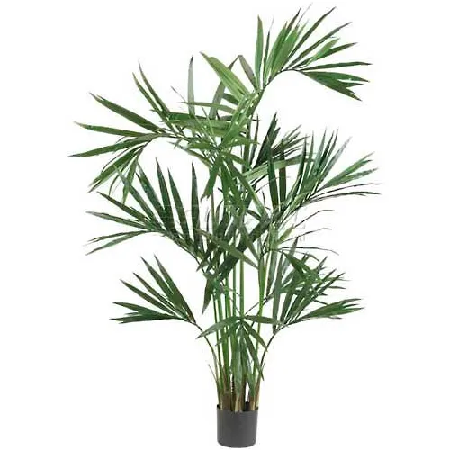Nearly Natural 6' Kentia Palm Silk Tree, Green