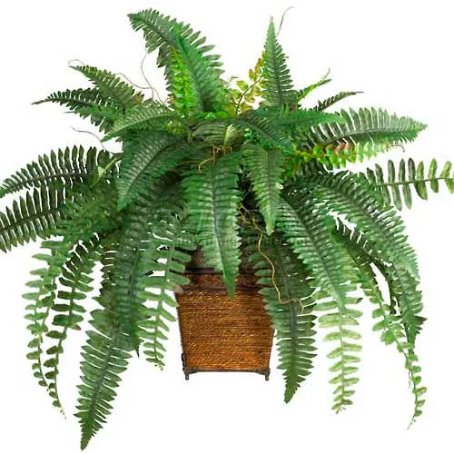 Nearly Natural Boston Fern with Wicker Basket Silk Plant