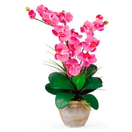 Nearly Natural Double Phalaenopsis Silk Orchid Flower Arrangement, Dark Pink