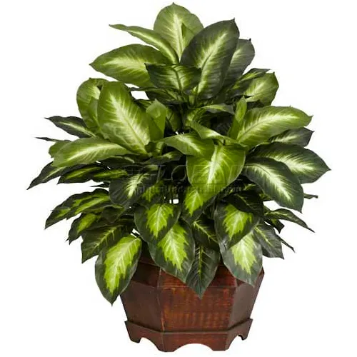 Nearly Natural Golden Dieffenbachia Silk Plant
