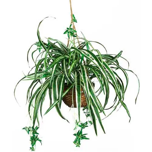 Nearly Natural Spider Hanging Basket Silk Plant
